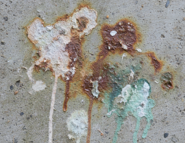 Image pour deratisation stains
