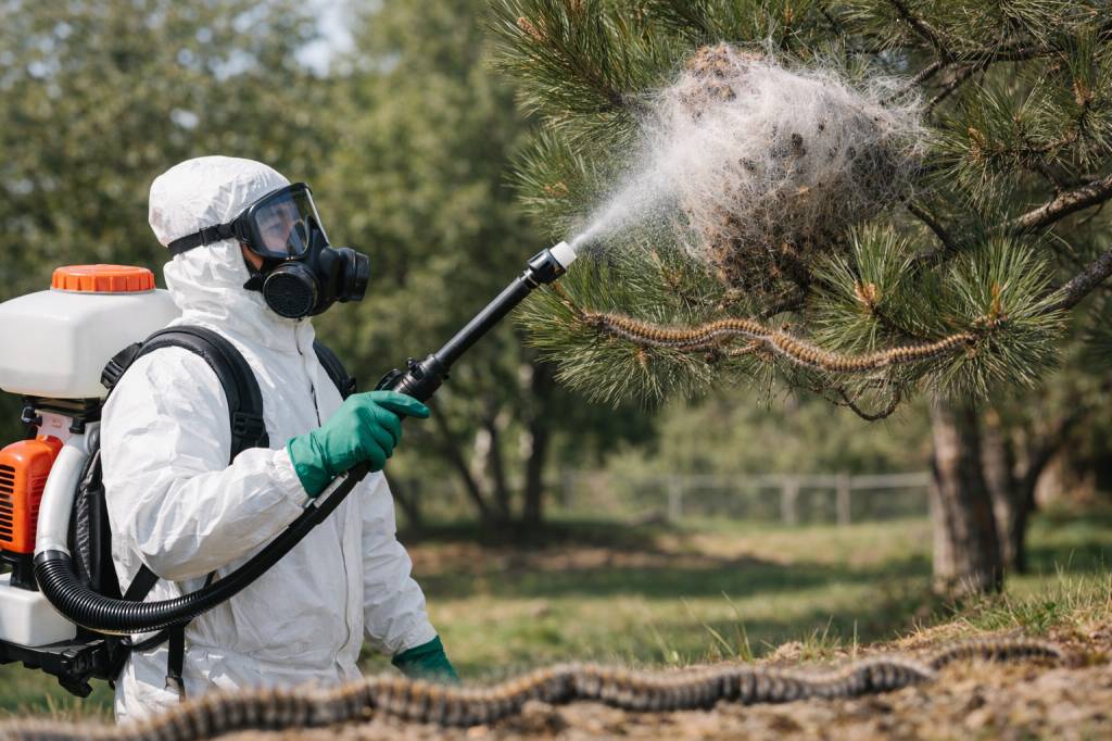 Chenilles processionnaires Feyzin : entreprise de dératisation, spécialiste professionnel pour jardins et parcs