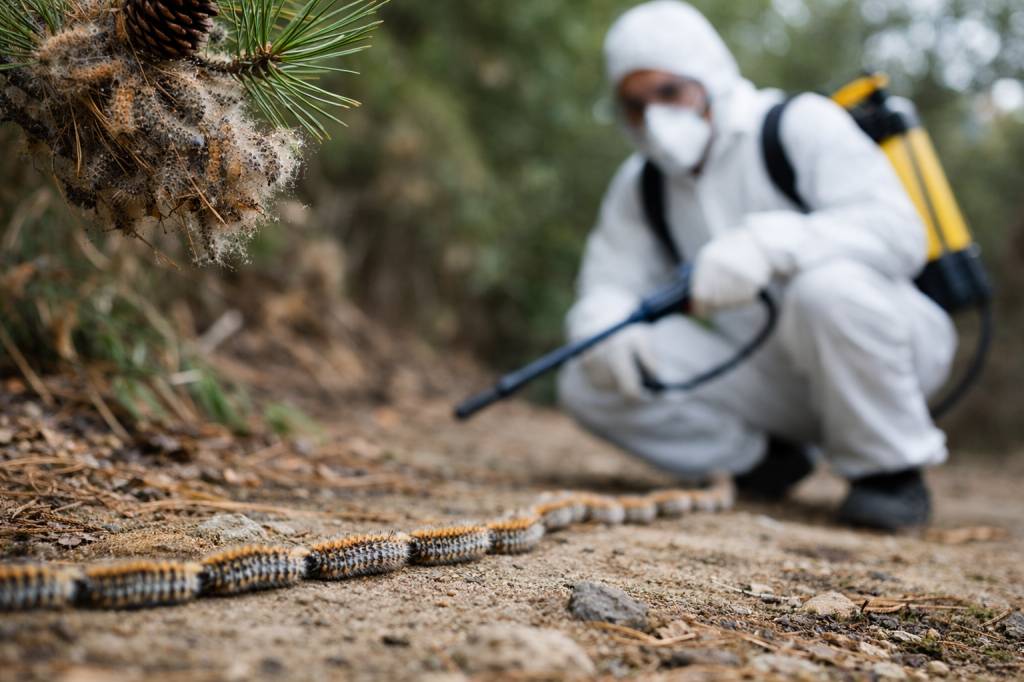 Chenilles processionnaires Fontaines-sur-Saône : dératisation et intervention de spécialiste professionnel à domicile