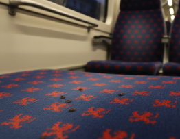 Image pour punaises de lit tcl lyon