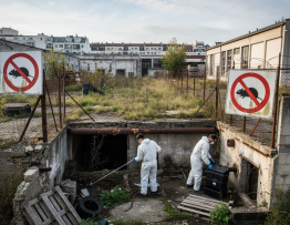 Image pour deratisation caluire zones à risque