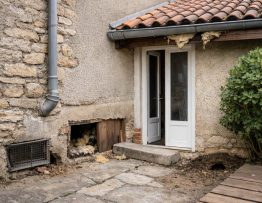 Comment protéger une maison lyonnaise des rats et des fouines : points d’entrée, erreurs à éviter et solutions professionnelles