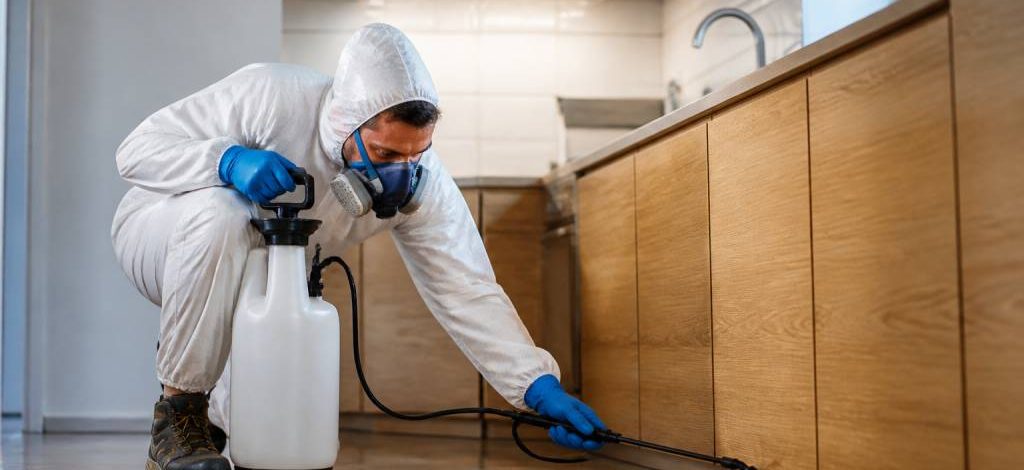 Dératisation strasbourg : entreprise professionnelle pour rats et souris