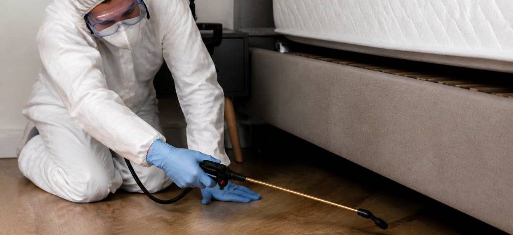 Traitement punaise de lit lyon : solution professionnelle pour éliminer les infestations rapidement