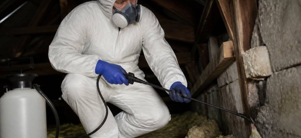France dératisation : entreprise professionnelle pour rat, souris, chenilles et frelons dans le Rhône, l’Isère et l’Ain