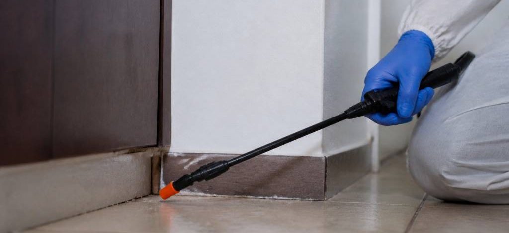 K-othrine insecticide pour une dératisation professionnelle efficace