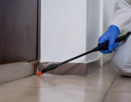 K-othrine insecticide pour une dératisation professionnelle efficace