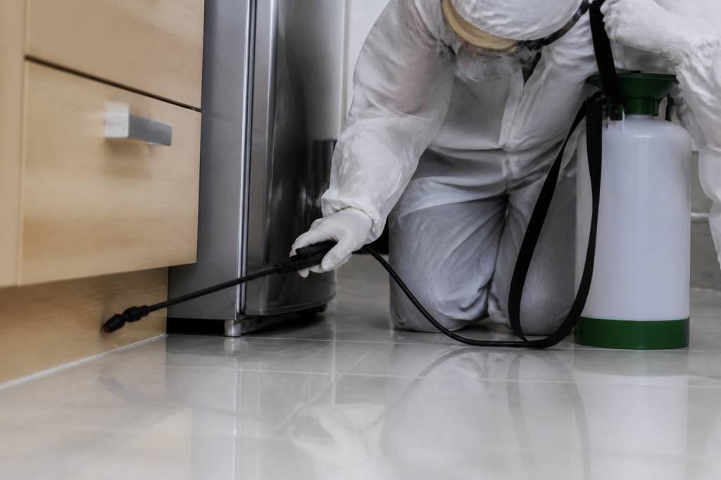 Cafard appartement : comment une entreprise de dératisation traite une infestation efficacement