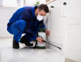 Société de désinfection : comment choisir une entreprise professionnelle de dératisation contre rats et souris dans le Rhône, l’Isère et l’Ain