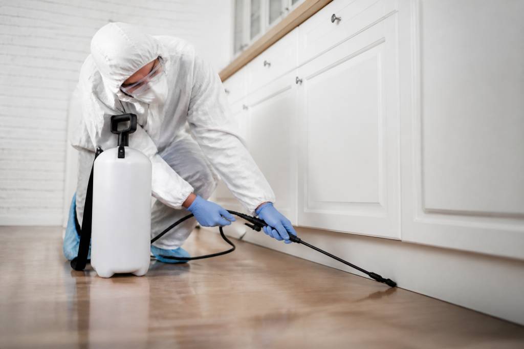 Tarif deratisation maison : combien coûte une intervention de dératisation par un professionnel ?