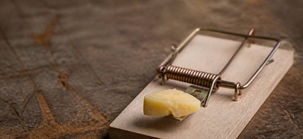 Que mettre sur piège à souris : les appâts efficaces recommandés par un dératiseur professionnel
