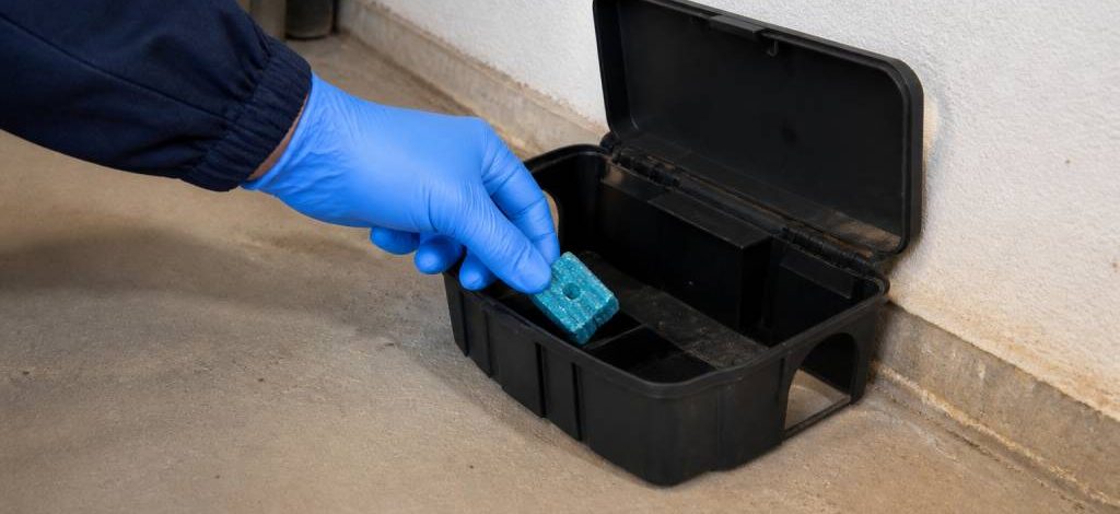 Appâtage contre les rats : méthodes de dératisation par un dératiseur professionnel dans le rhône, l’isère et l’ain